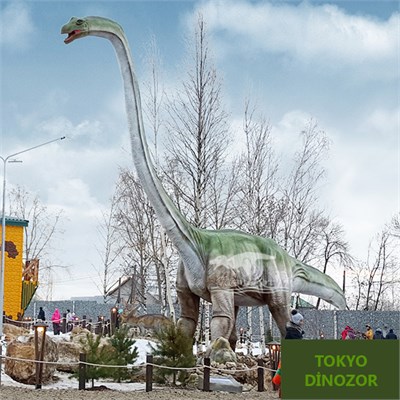 Brachiosaurus Hareketli Gerçek Dinozor Maketi 10m