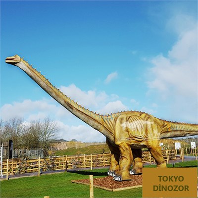 Diplodocus Hareketli Gerçek Dinozor Maketi 16m