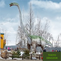 Brachiosaurus Hareketli Gerçek Dinozor Maketi 10m