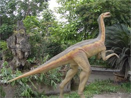 Ornitholestes Hareketli Gerçek Dinozor Maketi 3,5m