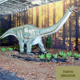 Apatosaurus Hareketli Gerçek Dinozor Maketi 10m