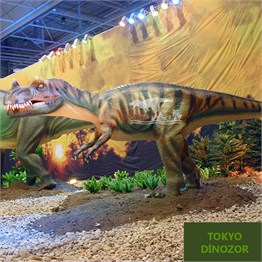 Allosaurus Hareketli Gerçek Dinozor Maketi 5m